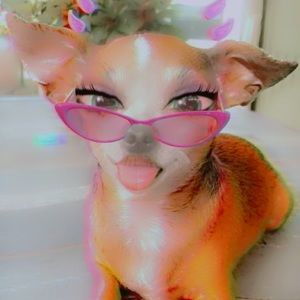 Meet your Posher, Lina